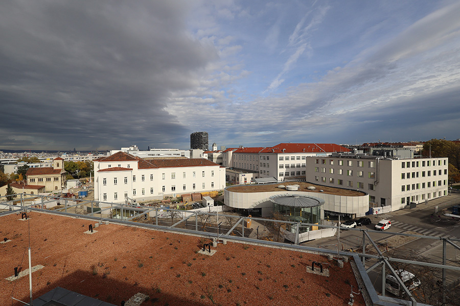 Klinik Favoriten Abbrucharbeiten